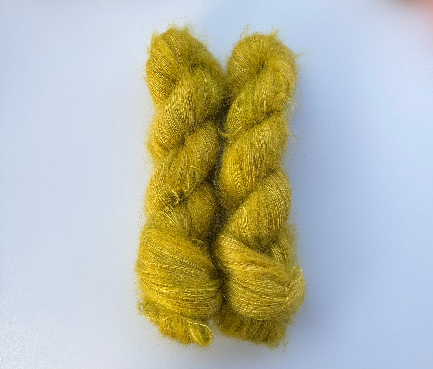 Kelp