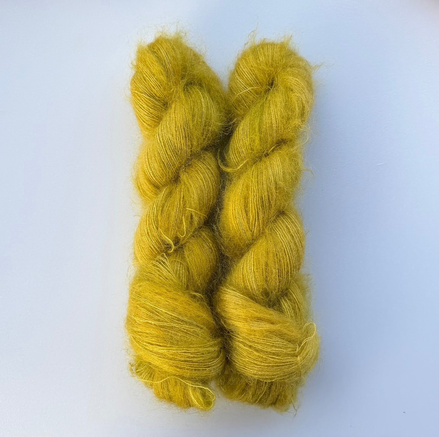 Kelp