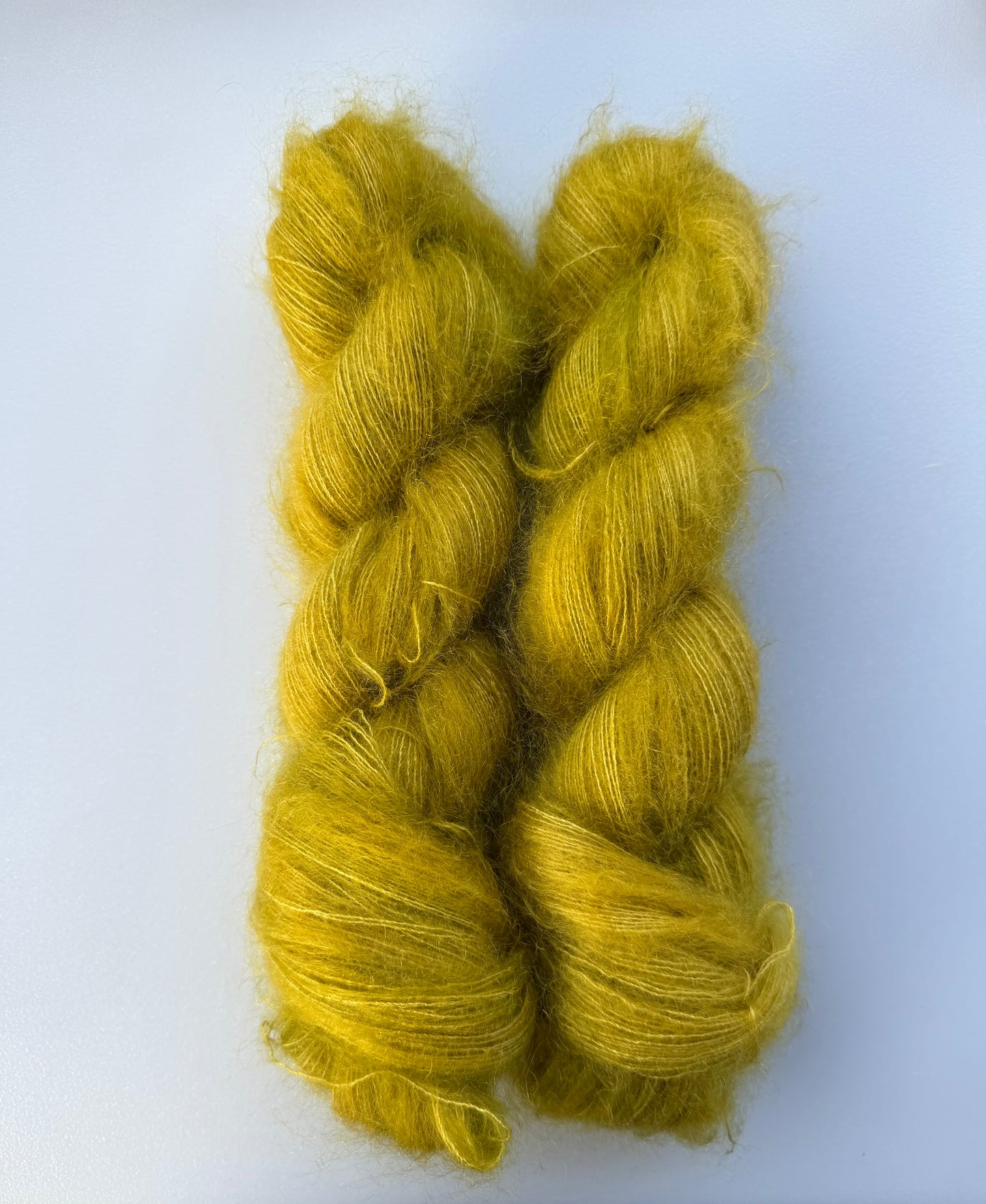 Kelp