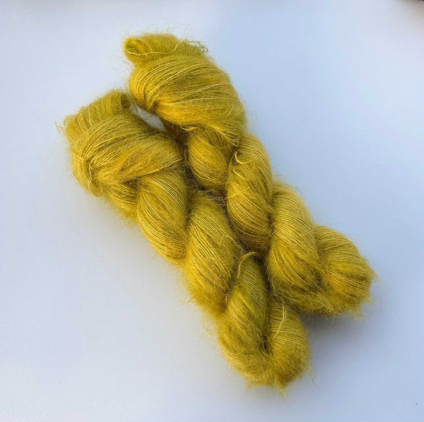 Kelp