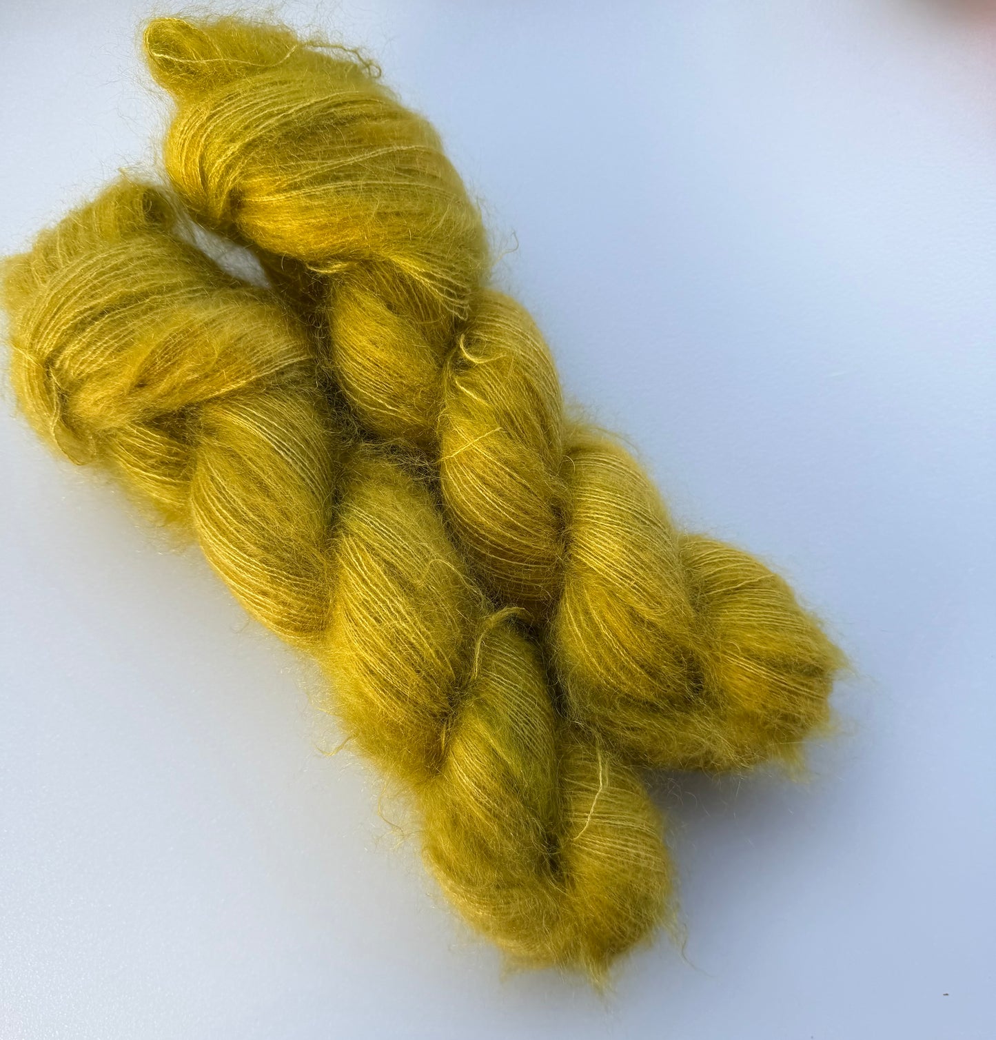 Kelp