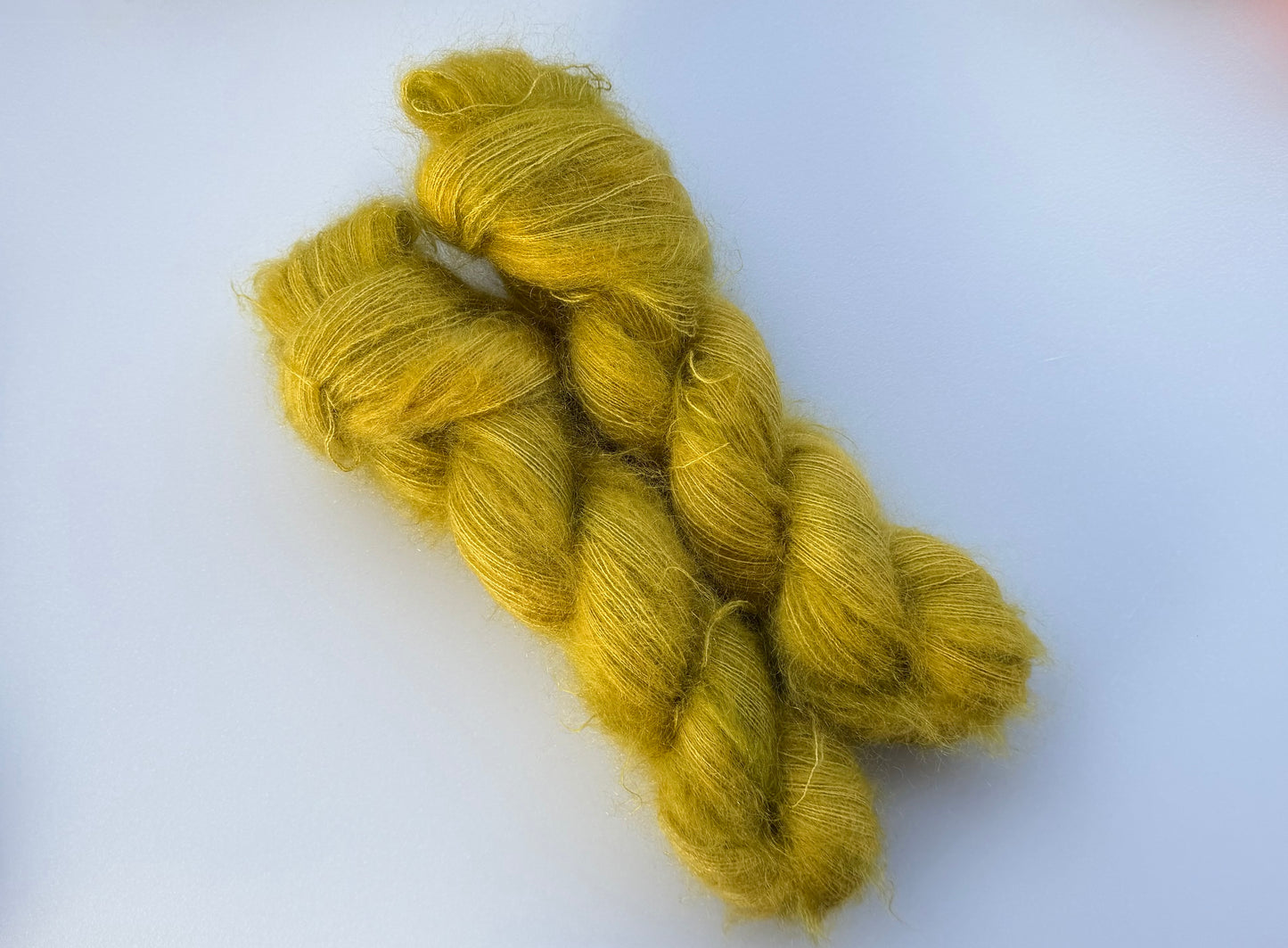 Kelp