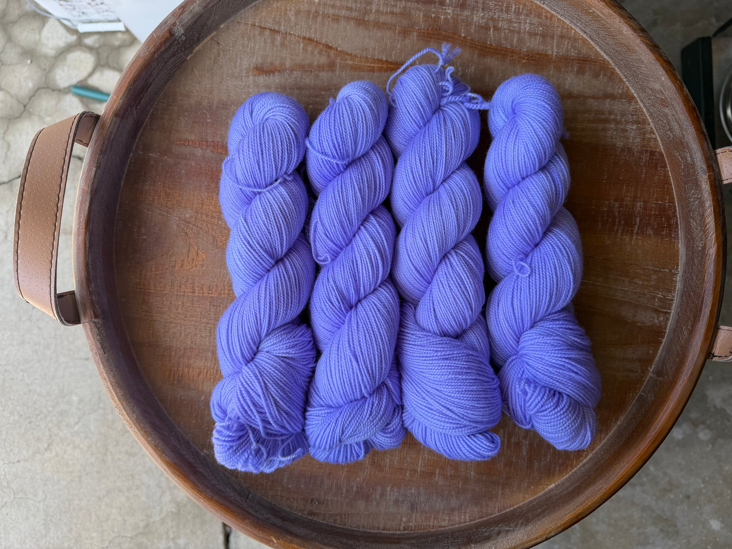 Chicory