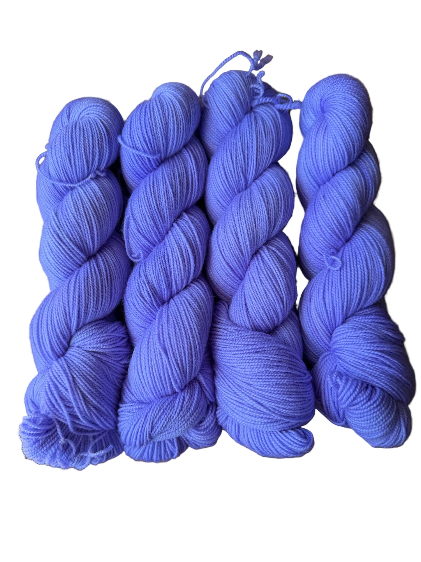 Chicory